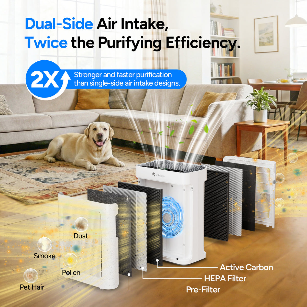 DAP01 HEPA Air Purifier with Pet Mode