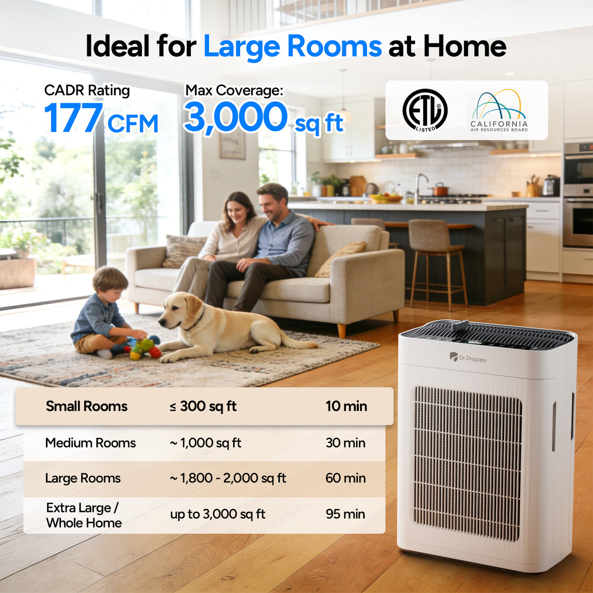 DAP01 HEPA Air Purifier with Pet Mode