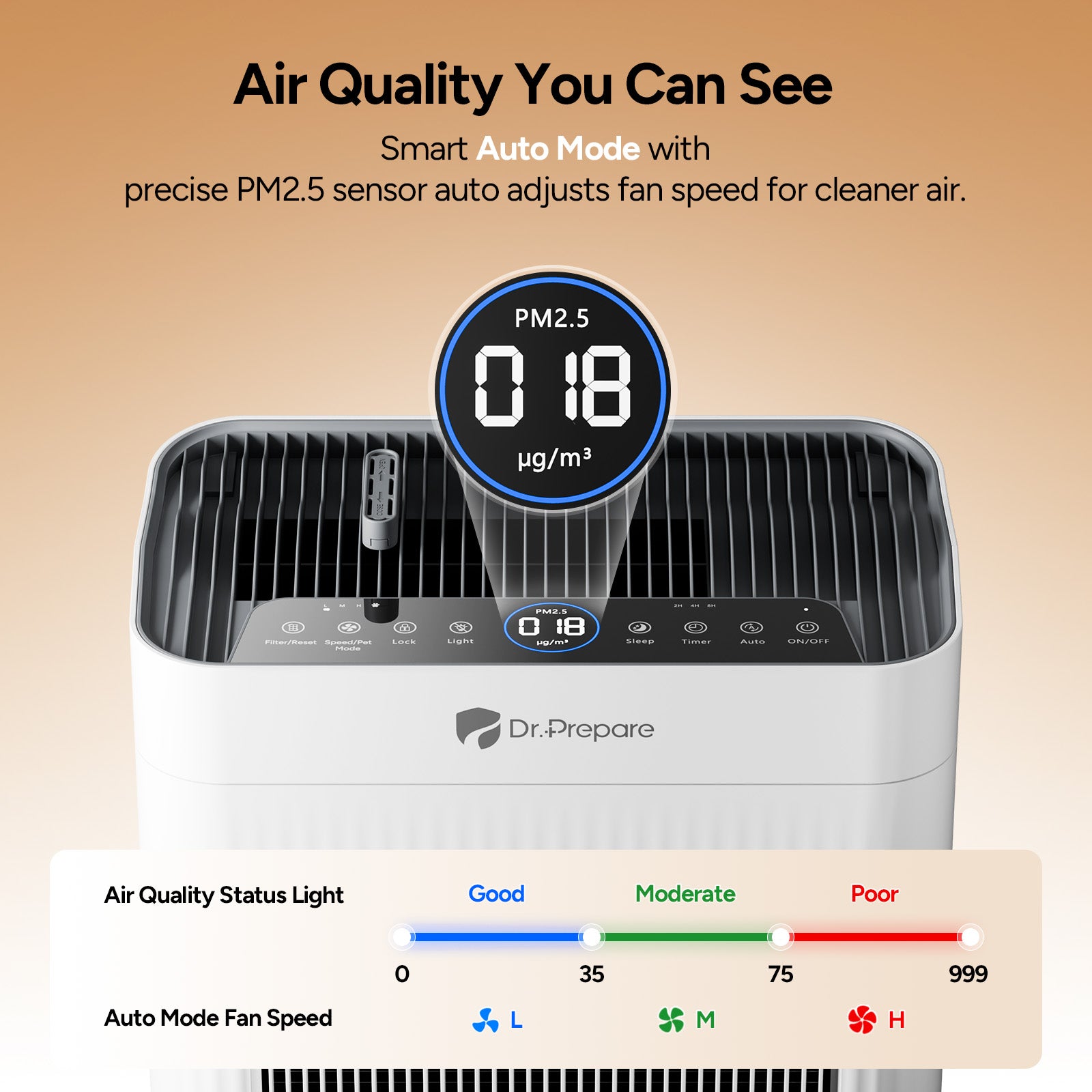 DAP01 HEPA Air Purifier with Pet Mode