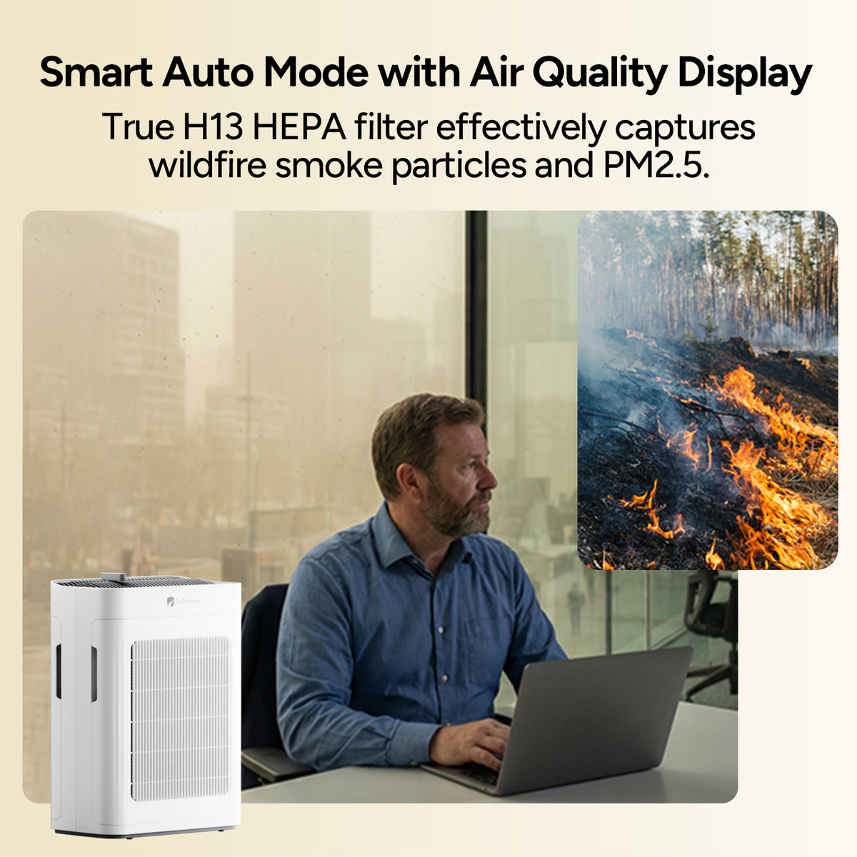 DAP01 HEPA Air Purifier with Pet Mode
